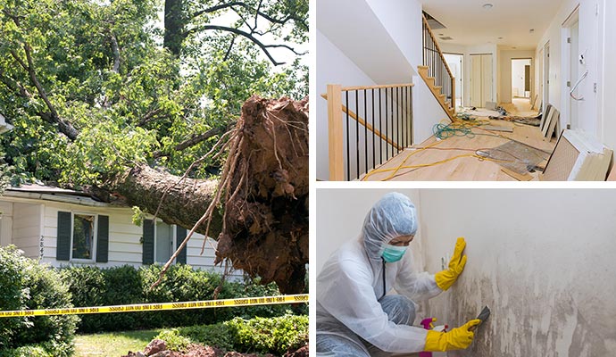 storm damage and mold remediation
